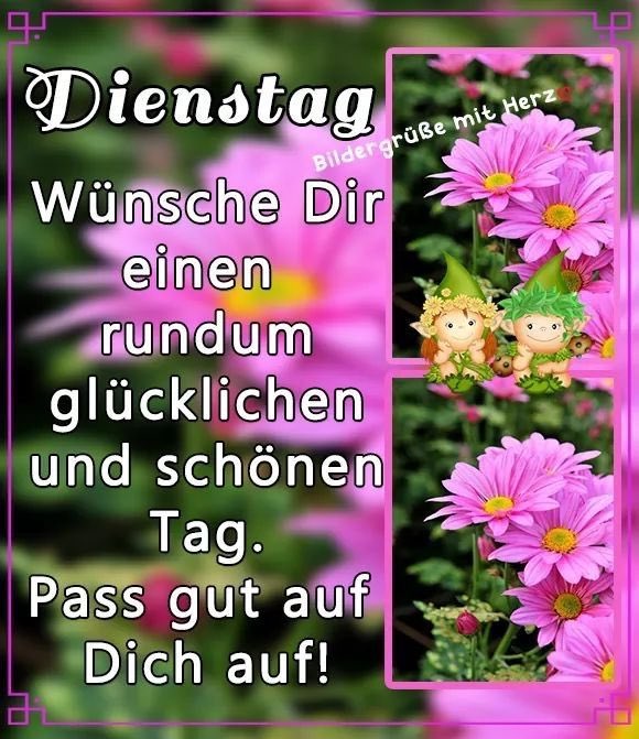 Dienstag morgen grue bilder 035