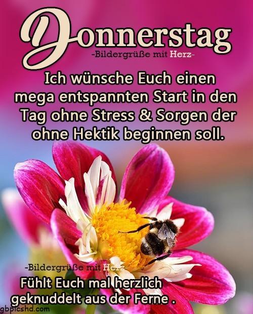 ᐅ donnerstag gb - Donnerstag GB Pics donnerstag gb
