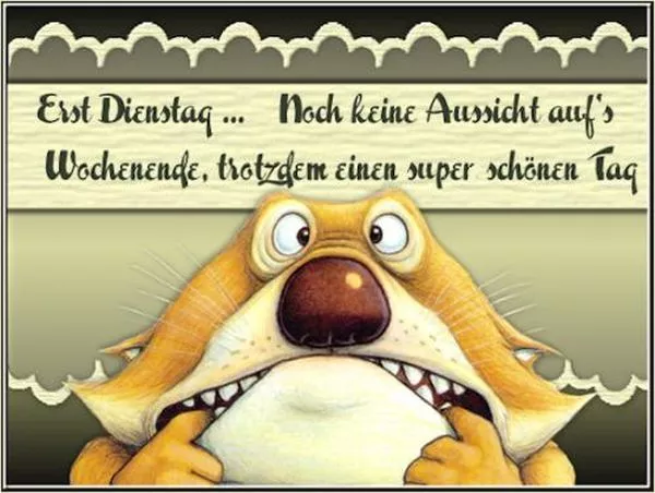 Du bist ja schon wach dann mal schonen dienstag lustige bilder spruch 006