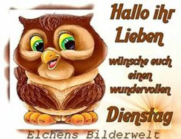 Du bist ja schon wach dann mal schonen dienstag lustige bilder spruch 007