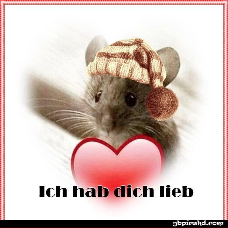 Ein bild furs herz bin noch gar nicht fertig jpg eine von 1426 004