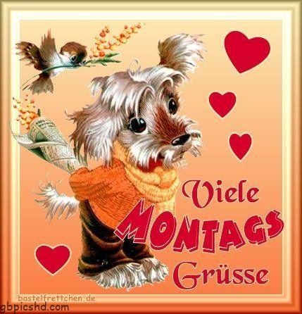 Ein bild furs herz froehlichen wochenstart jpg eine von 26 date 001