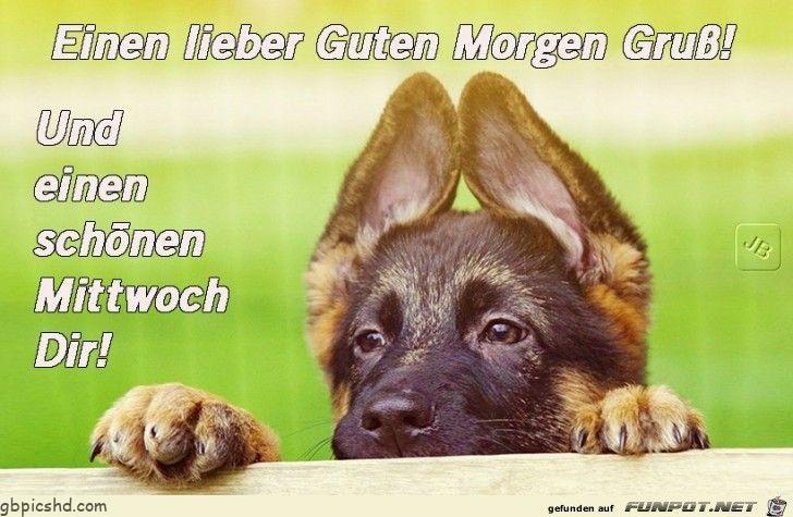 Ein bild furs herz mittwoch jpg kommentar guten morgen 001