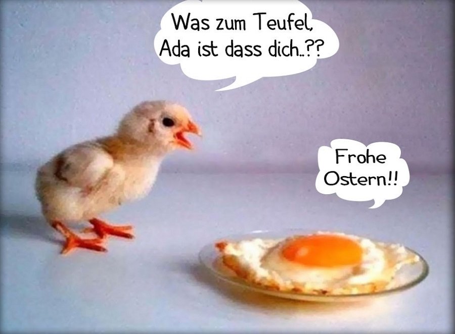 Frohe ostern lustiges bild 009