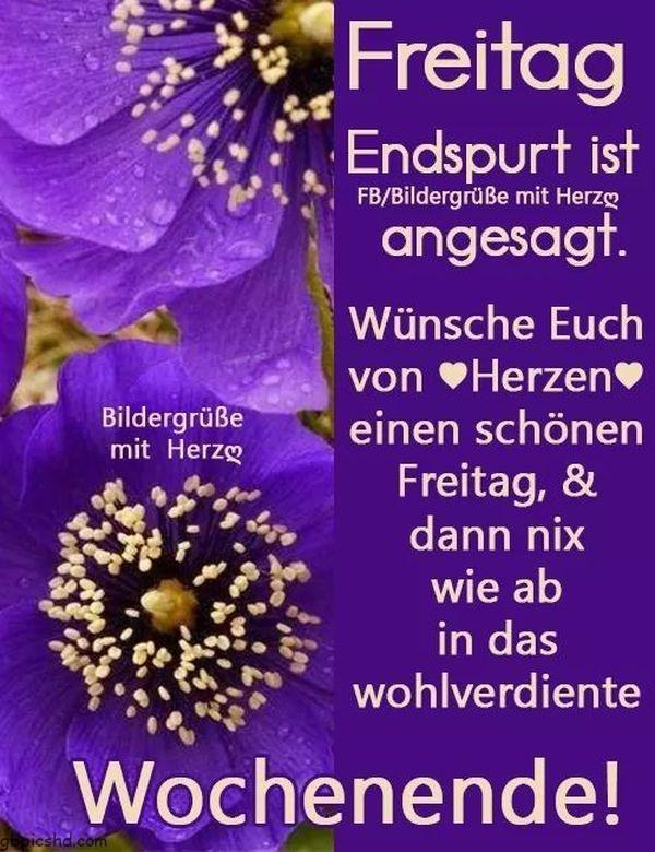 Grue zum freitag 021