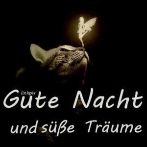 Gute Nacht Bilder fürs Handy – Süße Träume und Friedliche Motive