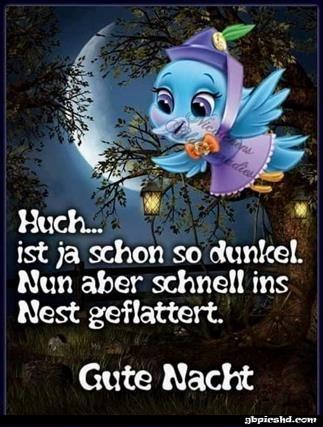 Gute nacht bilder lustig kostenlos 002