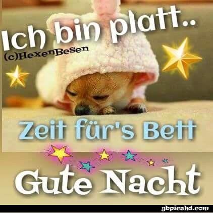 Gute nacht bilder lustig kostenlos 009