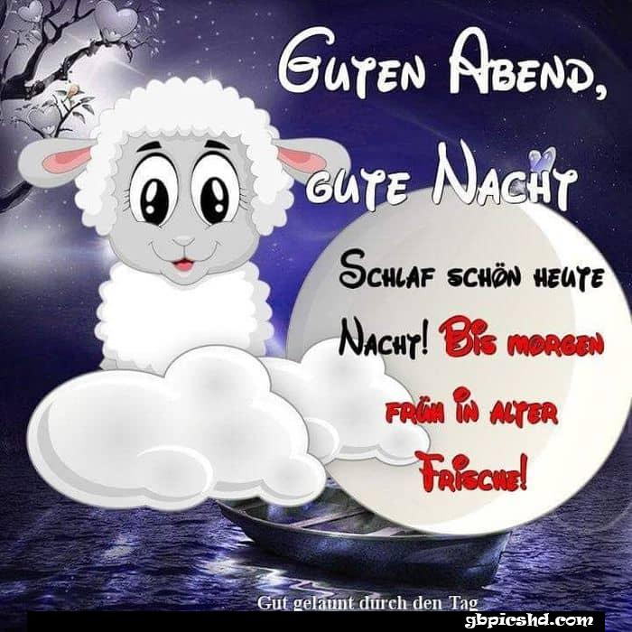 Gute nacht bilder lustig kostenlos 012