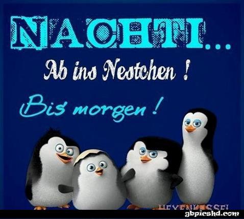 Gute nacht bilder lustig kostenlos 016