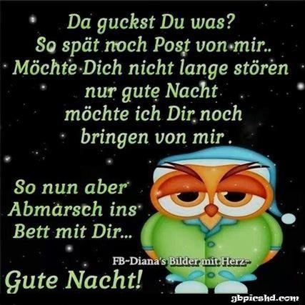 Gute nacht bilder lustig kostenlos 019