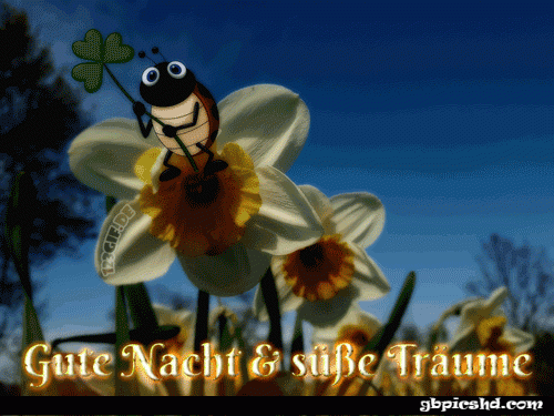 Gute nacht bilder lustig kostenlos 028