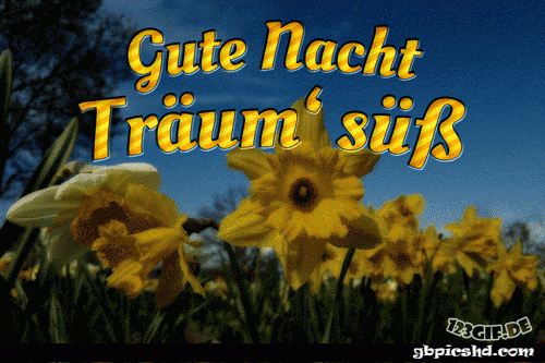 Gute nacht bilder lustig kostenlos 032