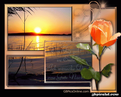 Gute nacht bilder lustig kostenlos 034