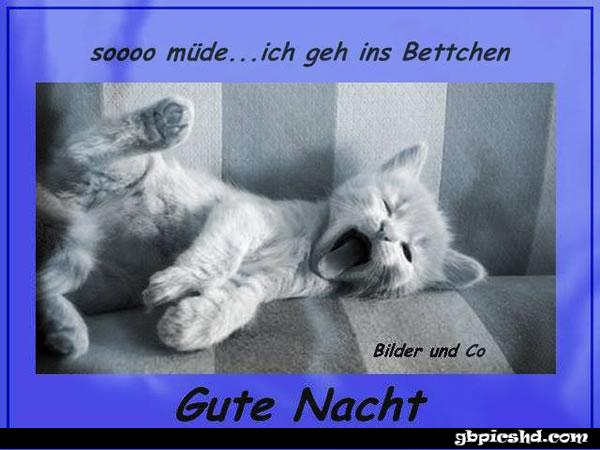 Gute nacht bilder lustig kostenlos 042