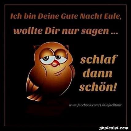 Gute nacht bilder lustig kostenlos 043