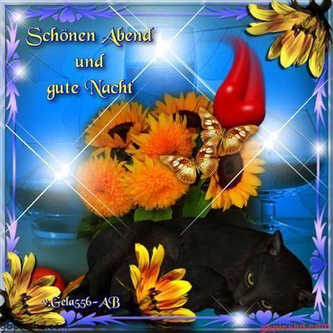 Guten abend gute nacht bilder 2 016
