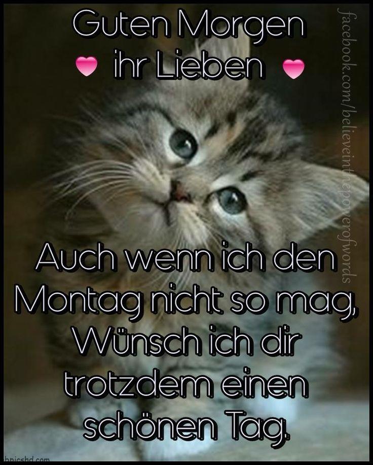 ᐅ guten morgen ihr lieben auch wenn ich den montag nicht so mag wunsch ich dir - Guten Morgen GB Pics Guten morgen ihr lieben auch wenn ich den montag nicht so mag wunsch ich dir 001