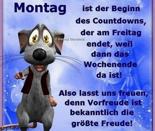 ᐅ guten morgen montag bilder lustig gutenmorgenmontagbilderlustig montag - Guten Morgen GB Pics guten morgen montag bilder lustig gutenmorgenmontagbilderlustig montag