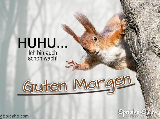 Guten morgen samstag spruche gutenmorgen gutenmorgensamstagspruche gutenmo 2 001