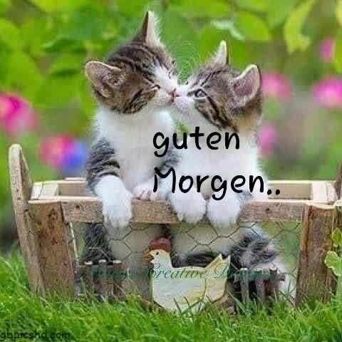 Guten morgen samstag spruche gutenmorgen gutenmorgensamstagspruche gutenmo 2 002