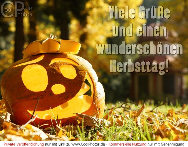 Guten nachmittag grue bilder kostenlos 041