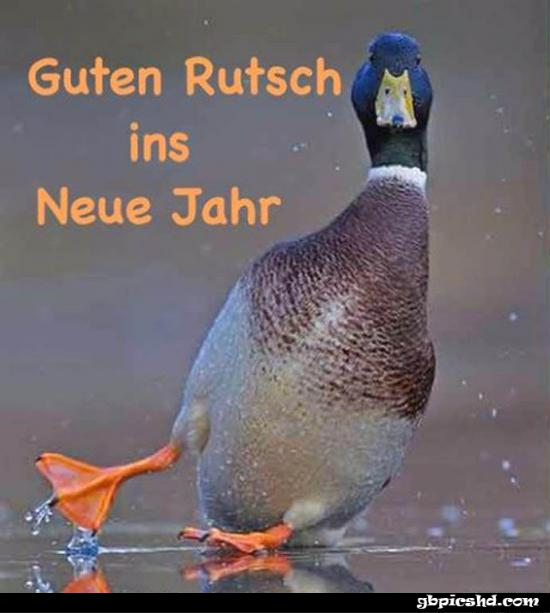 Guten rutsch penguin 001