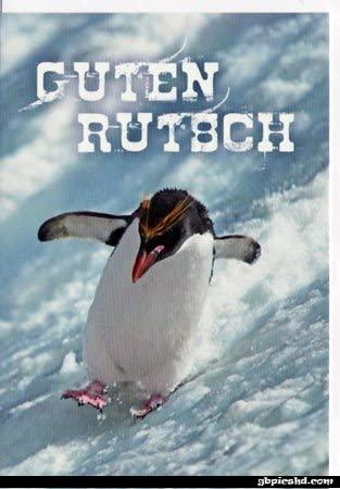 Guten rutsch penguin 006