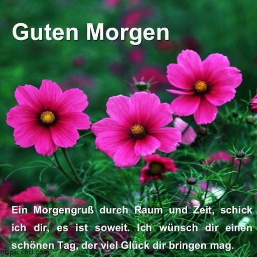 Guten tag mein schatz furs handy 012