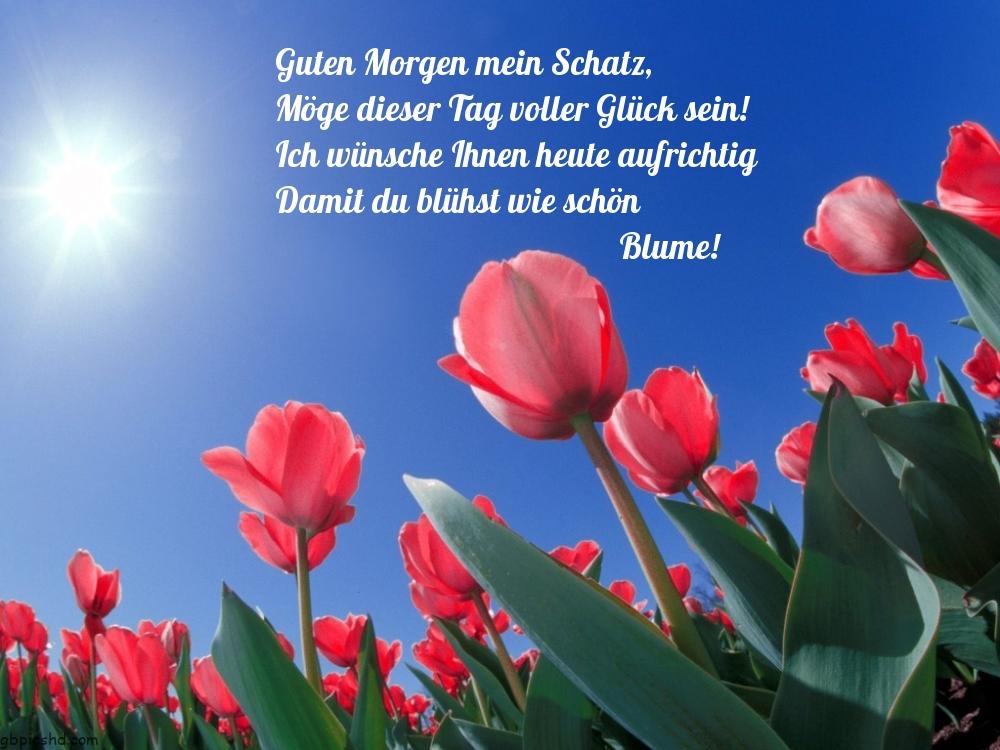 Guten tag mein schatz furs handy 013