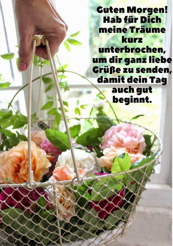 Guten tag mein schatz furs handy 016