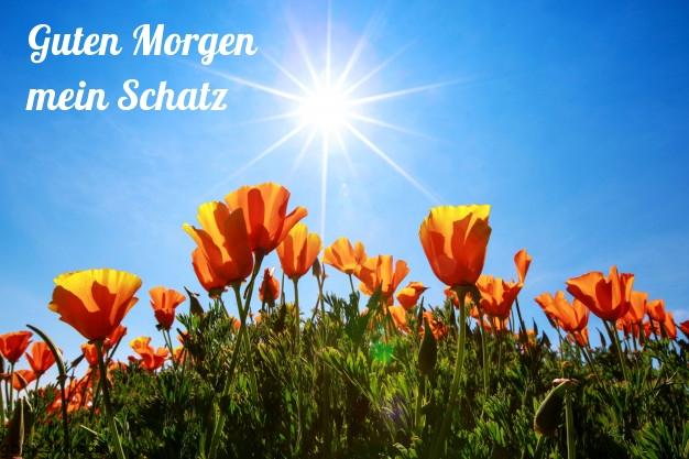 Guten tag mein schatz furs handy 024