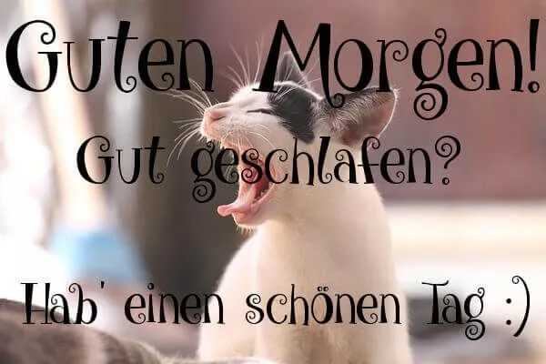 Guten tag mein schatz furs handy 026