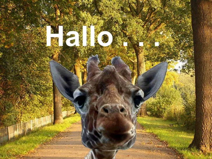 ᐅ hallo bilder facebook - Guten Morgen GB Pics Hallo bilder facebook 001