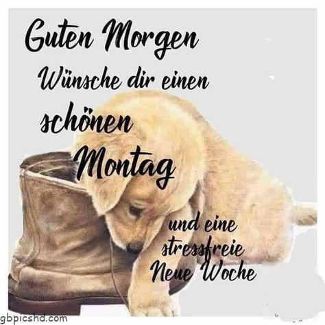 Hallo montag bilder 001