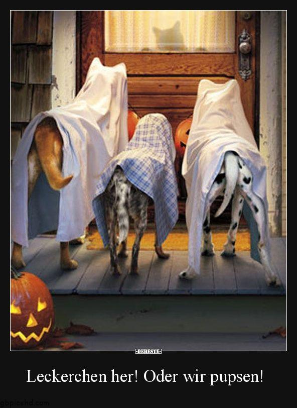 Halloween bilder lustig 002