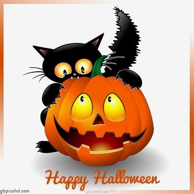 Halloween bilder lustig 006