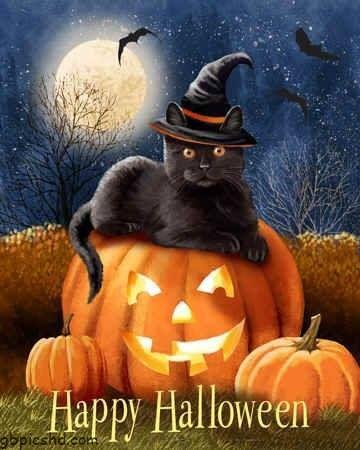 Halloween bilder lustig 007