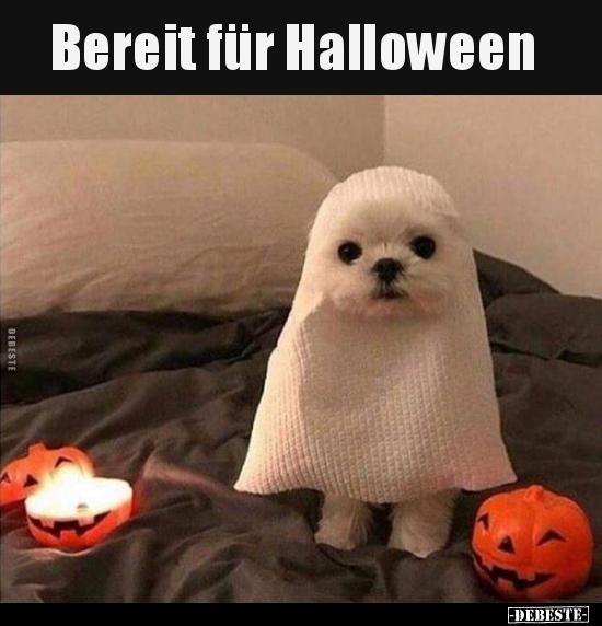 Halloween bilder lustig 011