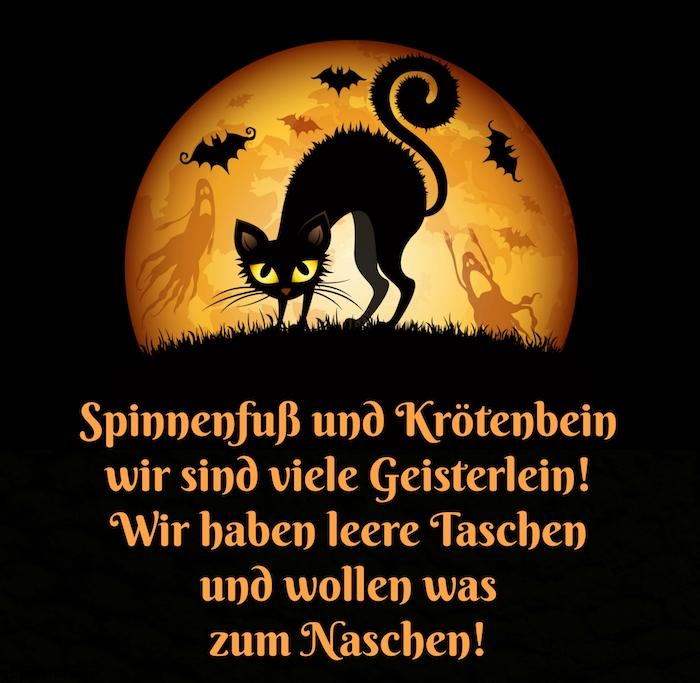 Halloween bilder lustig 016