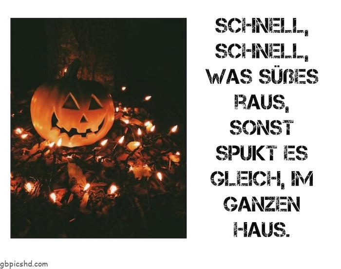 Halloween bilder lustig 027