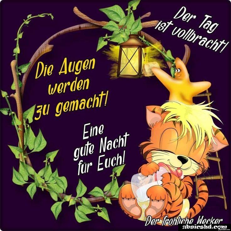 Ich wunsche euch einen schonen abend und spater eine gute nacht 018