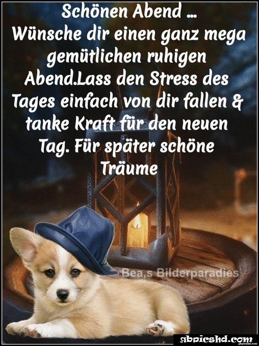 Ich wunsche euch einen schonen abend und spater eine gute nacht 021