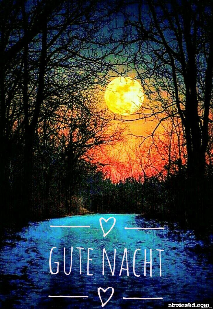 Ich wunsche euch einen schonen abend und spater eine gute nacht 024