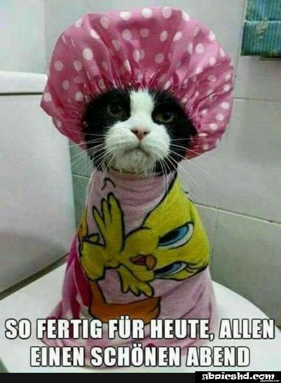 Ich wunsche euch einen schonen abend und spater eine gute nacht 026