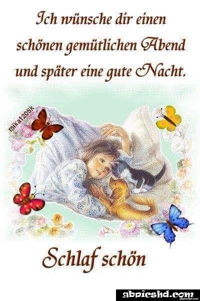 Ich wunsche euch einen schonen abend und spater eine gute nacht 028