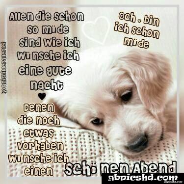 Ich wunsche euch einen schonen abend und spater eine gute nacht 030