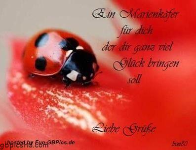 Liebe gruse bilder spruche 001