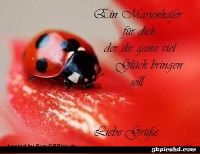 Liebe gruse bilder und spruche 001