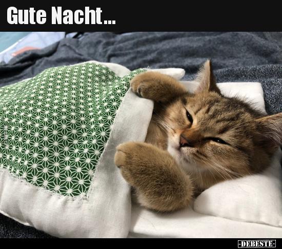 ᐅ lustig gute nacht bilder - Gute Nacht GB Pics Lustig gute nacht bilder 009